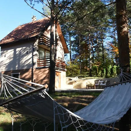 Apartment Planinska Dolina *