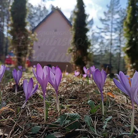 Lägenhet Planinska Dolina