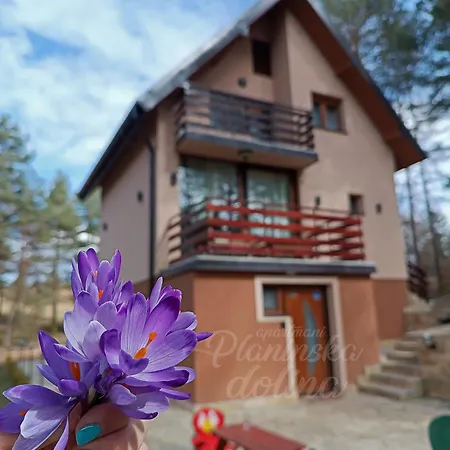 Apartment Planinska Dolina Divcibare