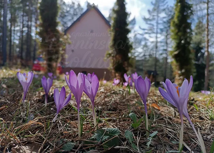 شقة Planinska Dolina