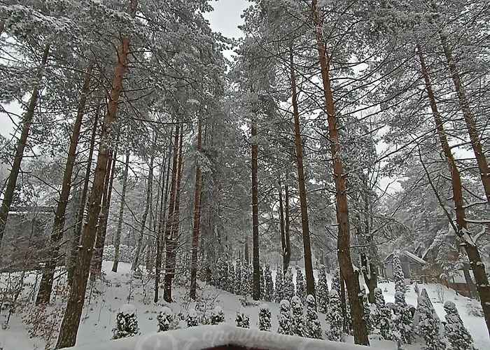 Planinska Dolina Divčibare