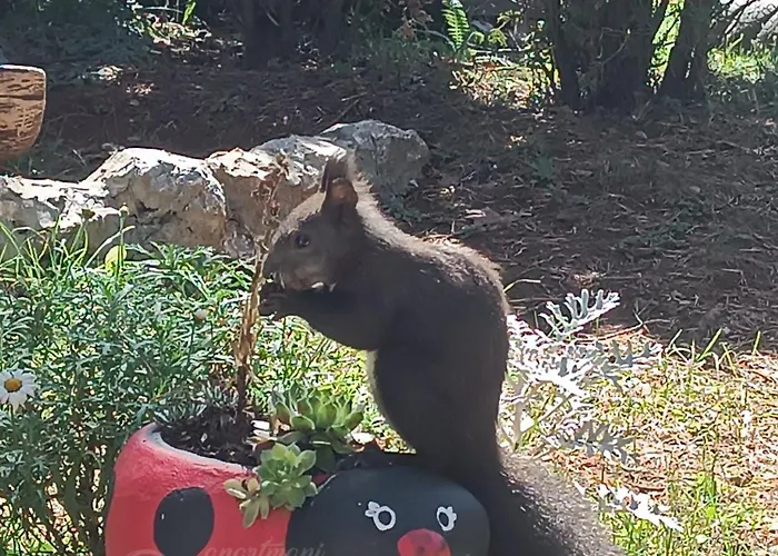 شقة Planinska Dolina *